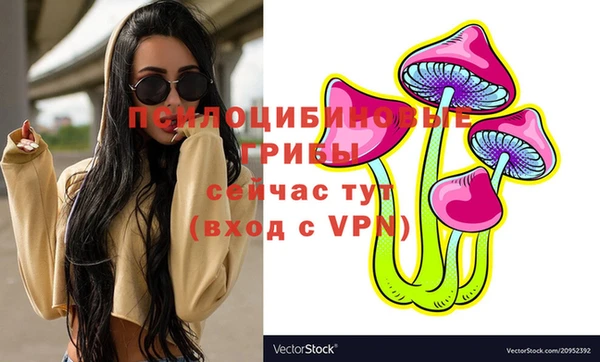 дмт Верхний Тагил