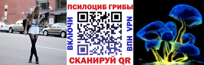 Псилоцибиновые грибы мицелий  Лысково 